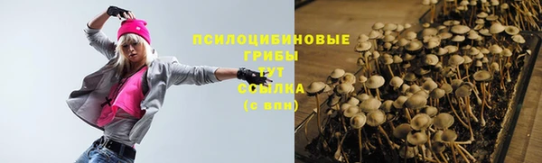 прущие грибы Нея