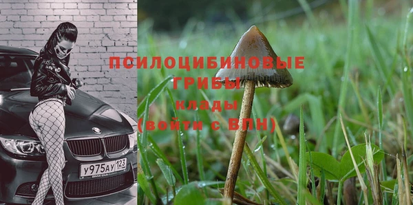 mdma Нефтекумск