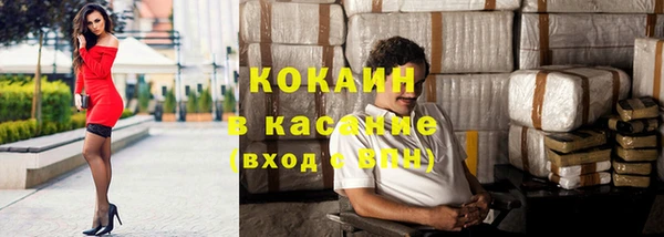 прущие грибы Нея
